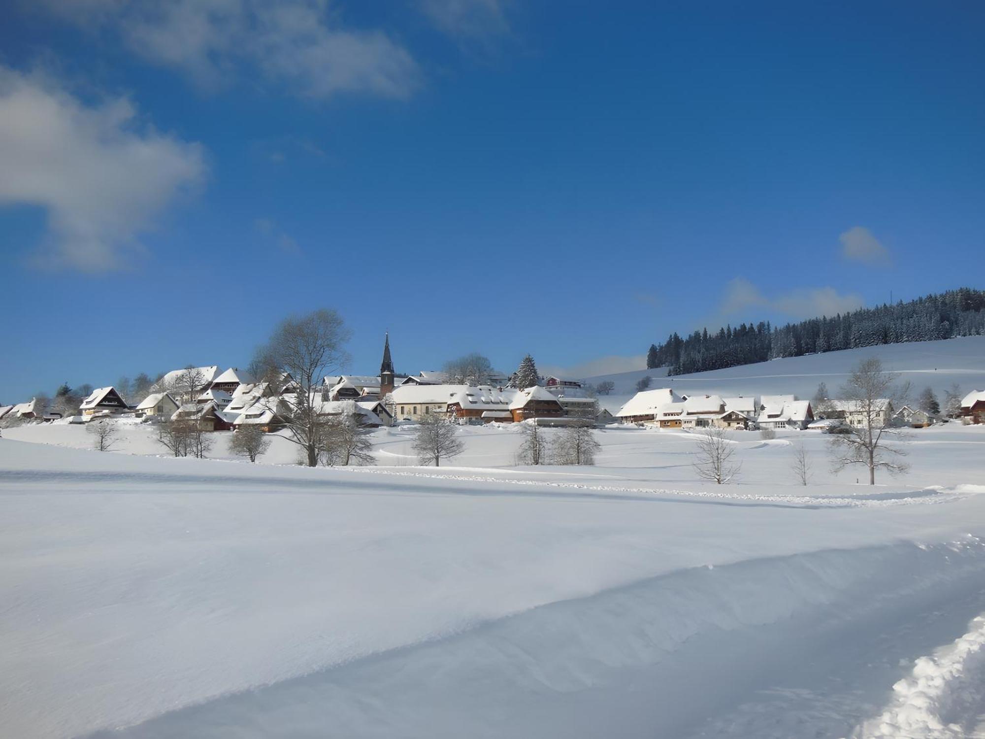 Ferienhaus Kaltenbach Тітізе-Нойштадт Екстер'єр фото
